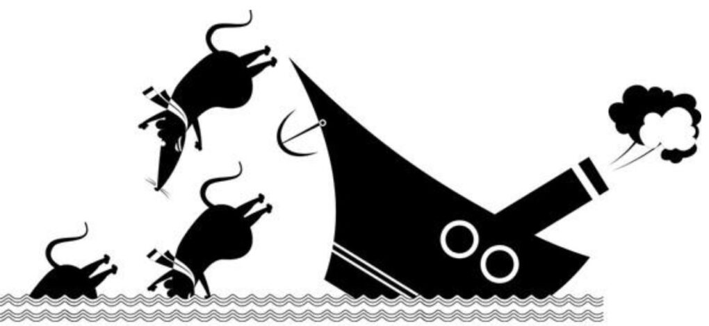 Las ratas y el barco